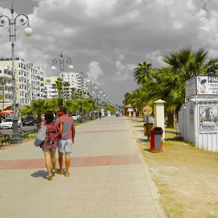 The Ficus Tree * Pyla